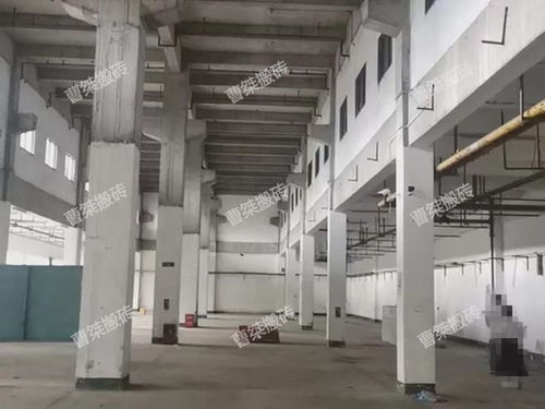 1.37億 郴州高視偉業資產拍賣