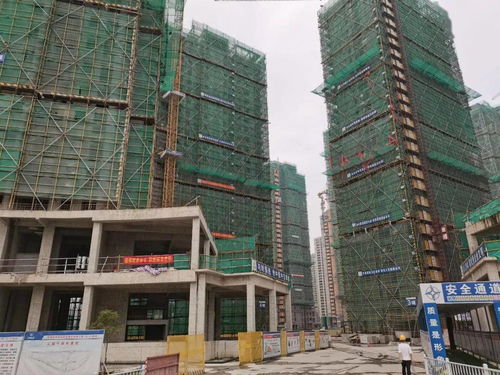 朝目標沖刺 溫州房建項目主體工程施工圓滿完成
