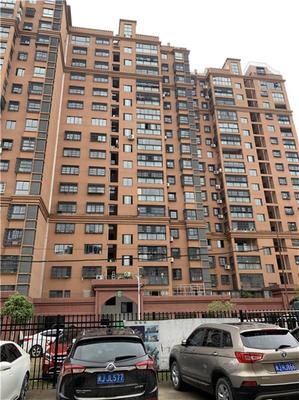 湛江市房屋結構安全檢測單位#湛江市今日頭條