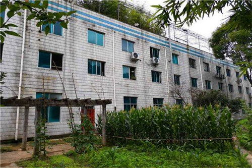 福建廠房倒塌后安全檢測鑒定 福建鋼結構工程檢測項目 福建鋼結構廠房檢測價格 新聞快報