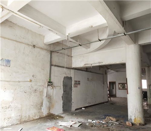 乳山市房屋安全檢測鑒定有資質機構 新聞聯播