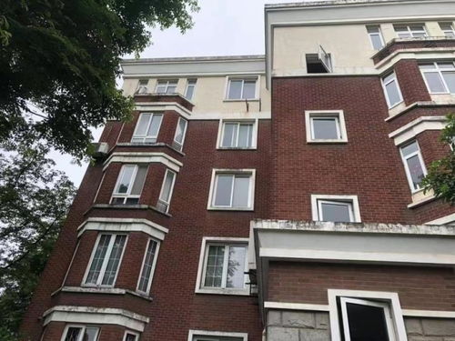 杭州一房地產大佬的房子被法拍,成交單價僅2.95萬元